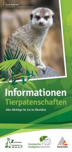 Vorschaubild PDF