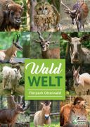 Vorschaubild PDF